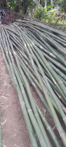 Round 7inch Bamboo Pole