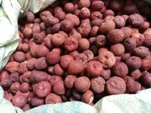 boiled betel nut