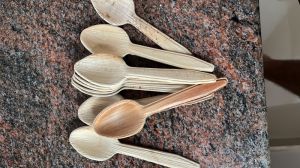 Disposable Areca Leaf Spoon