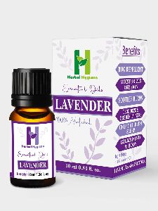 Lavender fragrances Essential oil