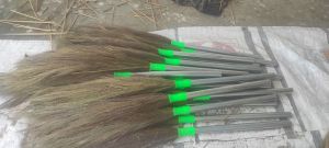 Phool Jhadu