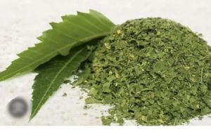 Neem Powder