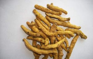 Double Polished Turmeric Finger