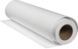 disposable table roll paper