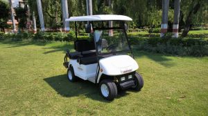 4 Seater Golf Cart