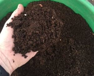 Vermicompost