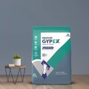 Homesure Gypex Gypsum Silver Plus Plaster