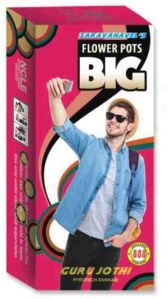 Flower Pots Big Cracker