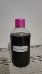 nagarmotha essential oil