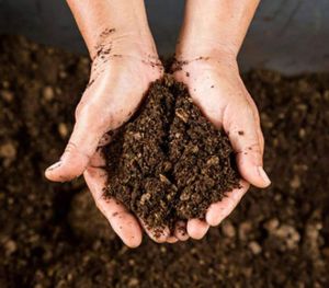 Organic Fertilizers and Manure