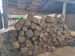 Teak Wood