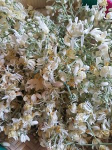 Moringa flower