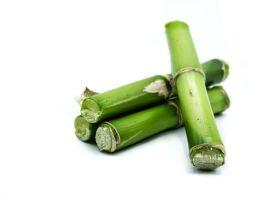 bamboo extract