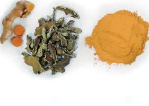 Curcumin Extract