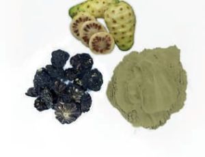 Noni Extract