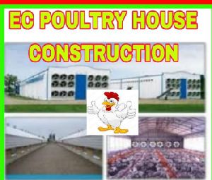Poultry Consultancy Services