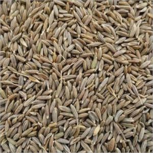 organic whole cumin seed