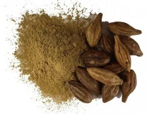 Terminalia Bellirica Extract