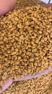 Fenugreek Seeds