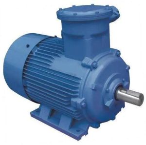 Three Phase AC Synchronous Motor