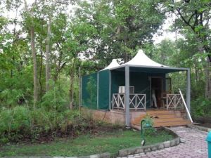 Resort Tents