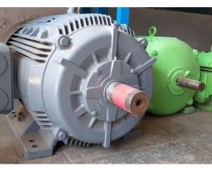 TEFC Induction Motor