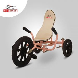 Brown Trike Mini Kids Bike