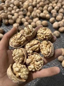 walnuts kashmiri shell