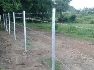 Wire Fencing Service