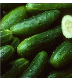 Cucumber