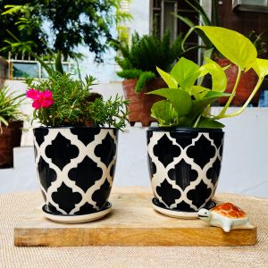 Black Moroccan Hand Painted Indoor Ceramic Planters with Tray