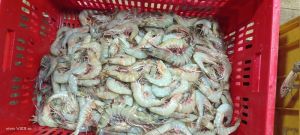 King Prawns