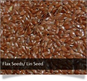 Flax Seeds