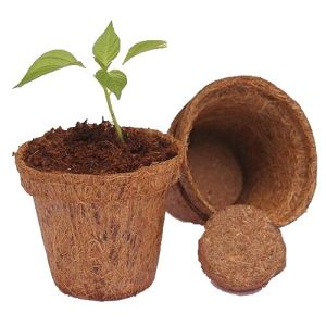 Coir Pot