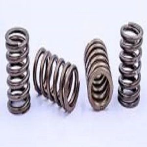 Valve Spring