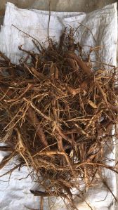Kapas dry roots