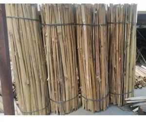 Bamboo Sticks