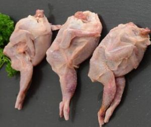 Fresh Quail Meat