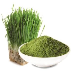 Barley Grass Powder