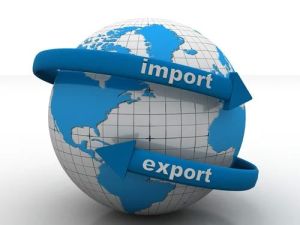 Import And Export Consultancy Services