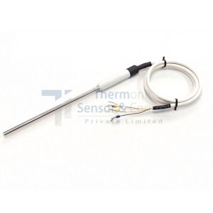 Autoclave RTD Sensor