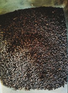 de oiled cardamom seeds