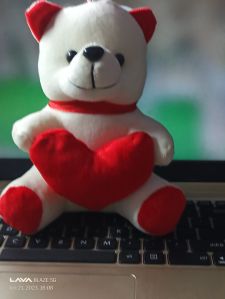 18 Inch Teddy Bear With Love Hearts