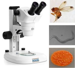 ACUCAL ACUSZM - Drosophila Research Microscope