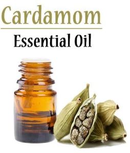 Cardamom Essential Oil