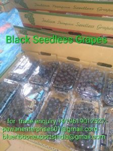 Fresh Black Seedless Grapes