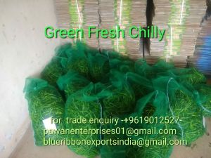 Fresh Green Chilli