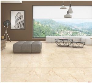 600X600mm Porcelain Floor Tiles