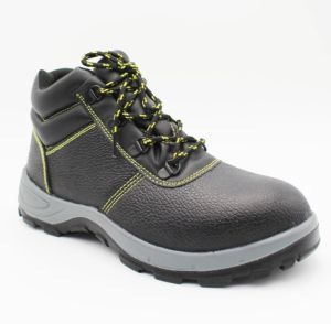 tm 005 safety shoes