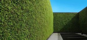 Artificial Green Wall